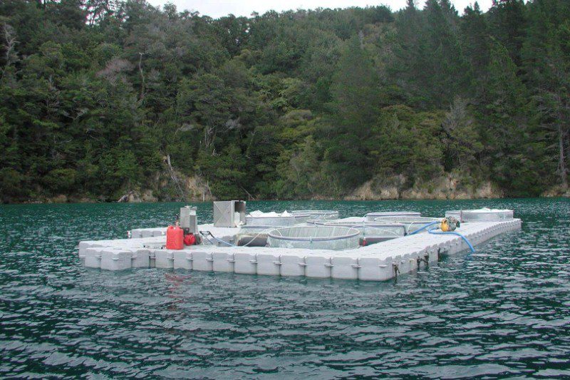 Aquaculture Floating Dock 00