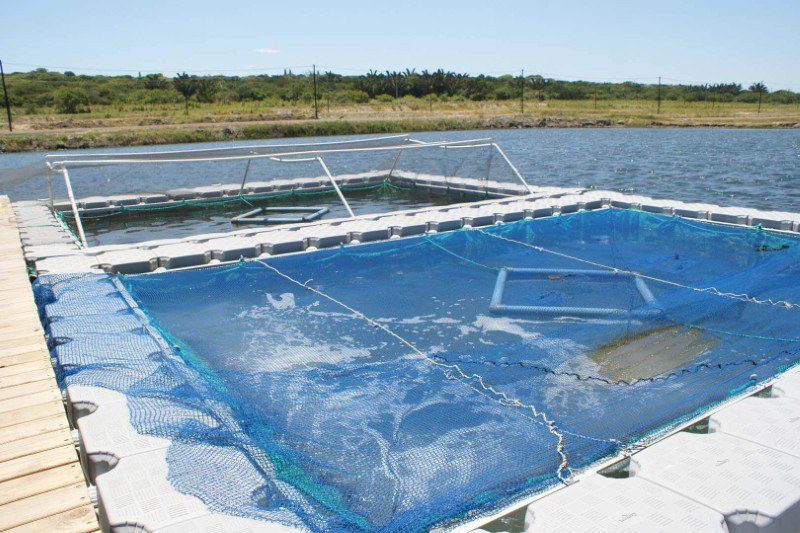 Aquaculture Floating Dock 01