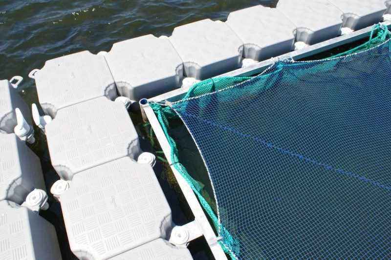 Aquaculture Floating Dock 03