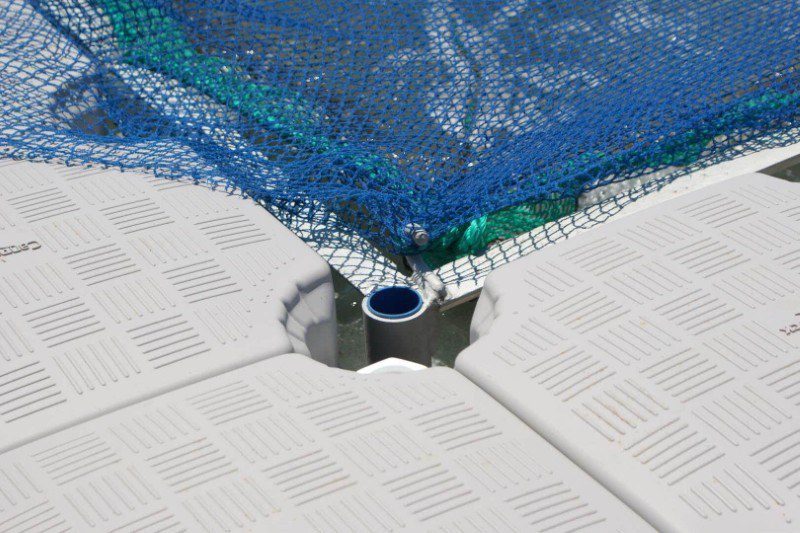 Aquaculture Floating Dock 04