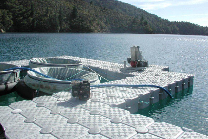 Aquaculture Floating Dock 07